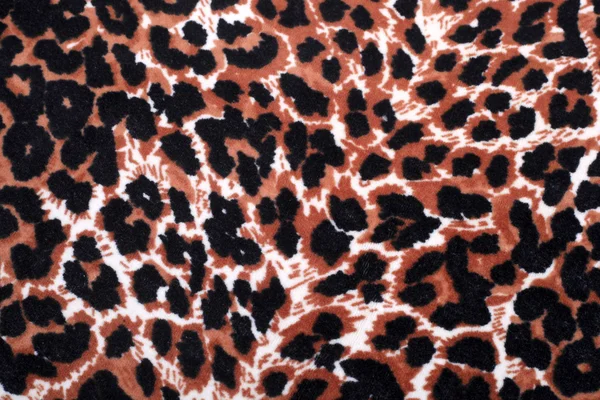 Leopardenornament Dekor — Stockfoto