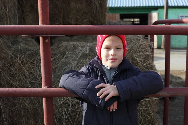 Niño en la granja de caballos —  Fotos de Stock