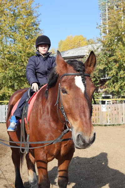 Jongen paardrijden — Stockfoto