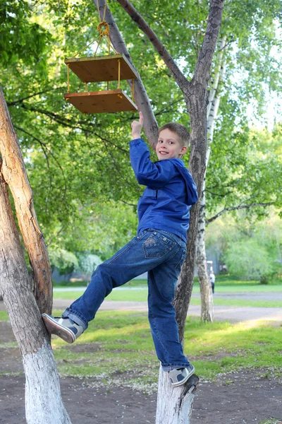 Garçon grimpant sur les arbres — Photo