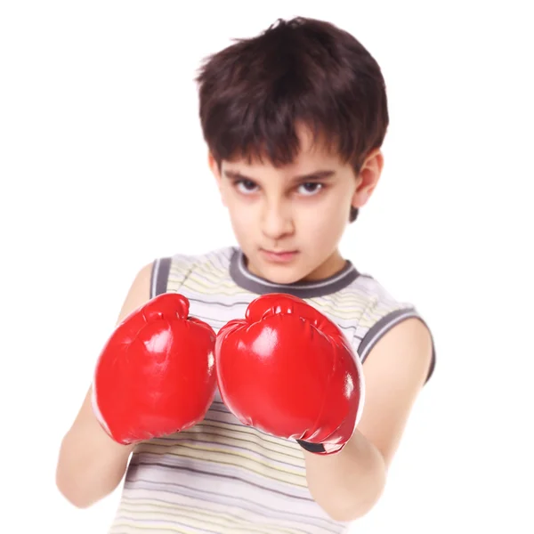 Kleiner hübscher Boxer — Stockfoto