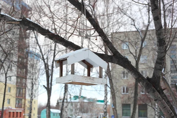 Alimentador de aves de invierno —  Fotos de Stock