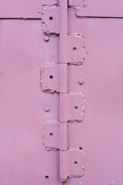 Panty kovové dveře — Stock fotografie