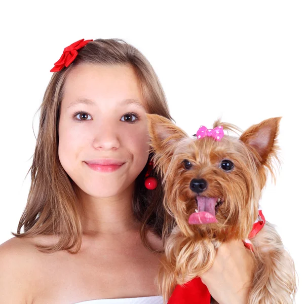 Girl and york dog — Stock Photo, Image