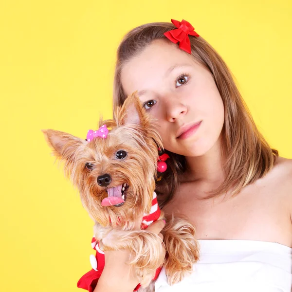 Girl and york dog — Stock Photo, Image