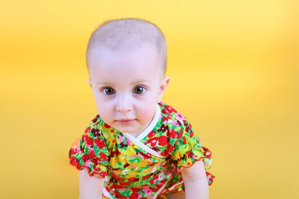 Bonito bebê pequeno doce — Fotografia de Stock