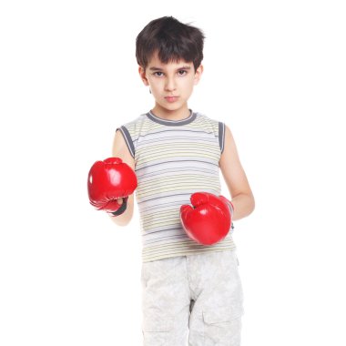 Sevimli yakışıklı küçük boksör