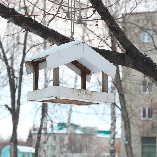 Mangeoire hiver oiseaux — Photo
