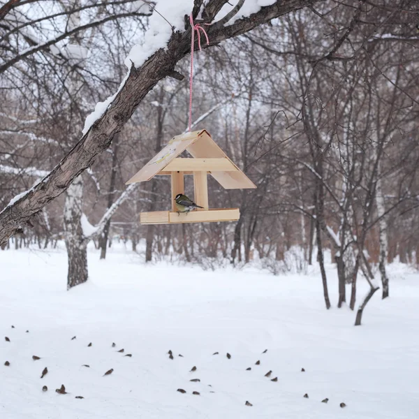 Winter Vogelhuis/waterbak — Stockfoto