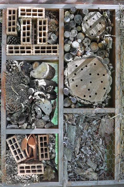 Insect hotel in forest — Stock Photo, Image