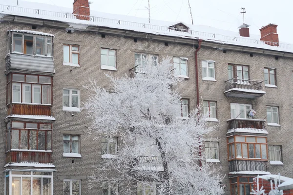 Zamrożone drzewa przed domem — Zdjęcie stockowe