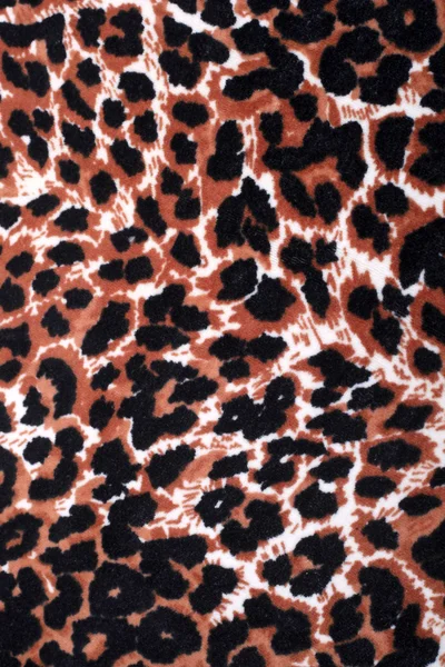 Decoração de ornamento de leopardo fundo — Fotografia de Stock