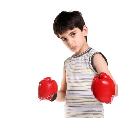 Sevimli yakışıklı küçük boksör