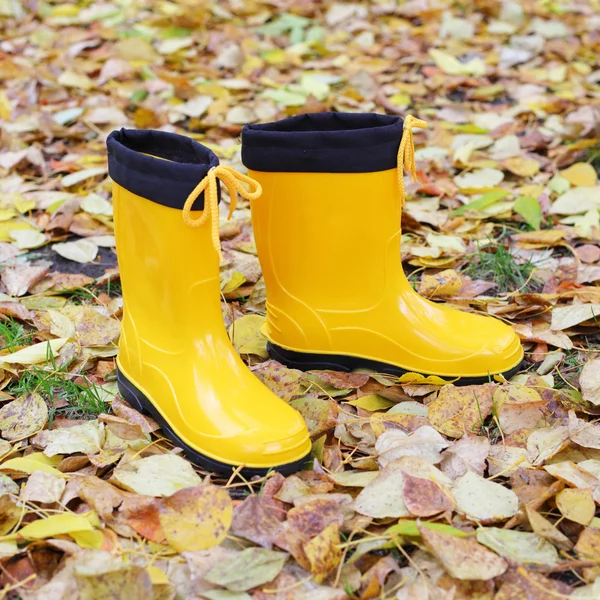 Botas de goma amarillo brillante —  Fotos de Stock