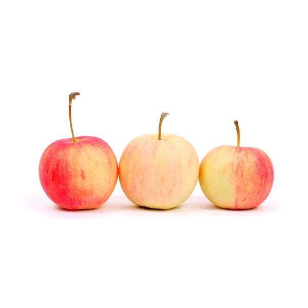 Red and yellow apples — Stock Photo, Image