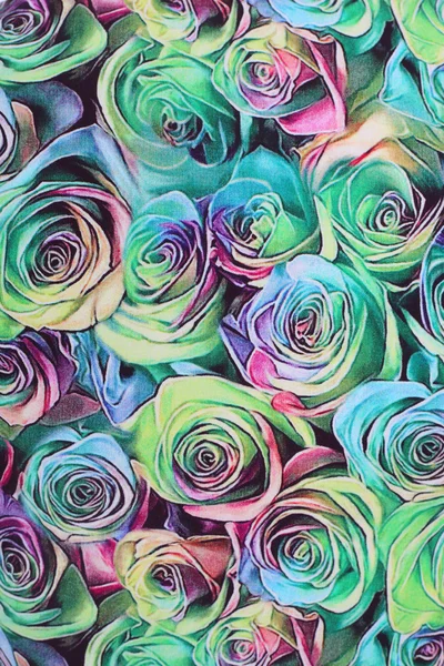 Krásné barevné růže květinový ornament — Stock fotografie