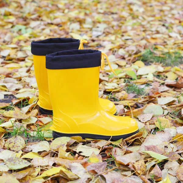 Botas de goma amarillo brillante —  Fotos de Stock