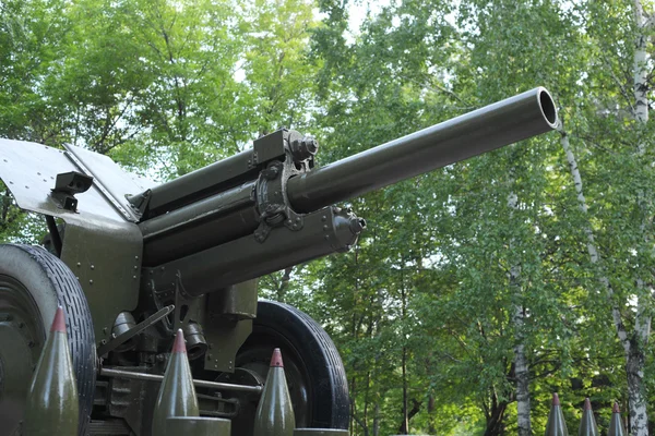 Kawałek artylerii w parku — Zdjęcie stockowe