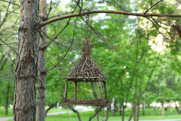 Bird feeder closeup — Stock Photo, Image