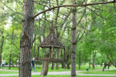 Parkta kuş yemliği