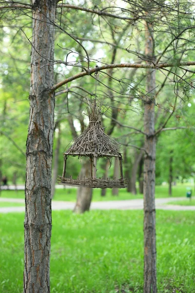 Alimentador de aves no parque — Fotografia de Stock