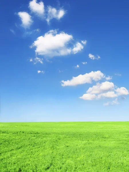 Blue sky and grass — Stock Photo, Image