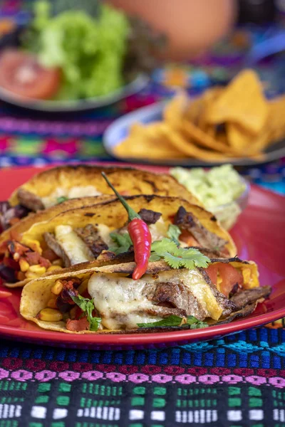 Gegrilde Mexicaanse Taco Een Bord — Stockfoto