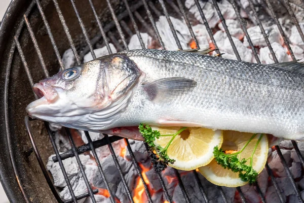 Basso Con Limone Sul Barbecue — Foto Stock