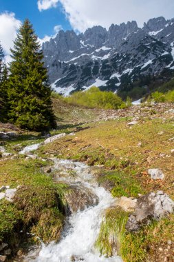 Daha vahşi Kayzer dağlarında bir dere