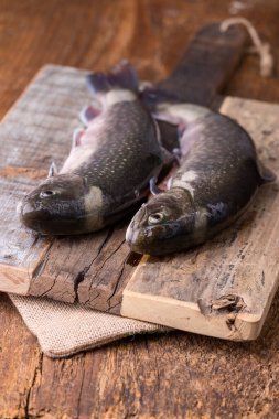 Köy tahtasında iki çiğ diş.