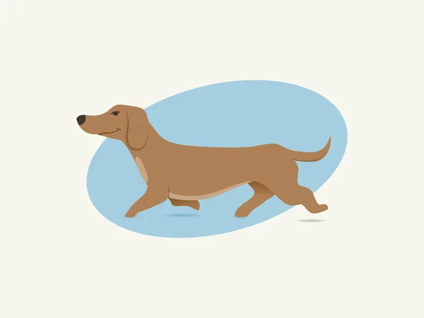 Daschund Chien — Image vectorielle