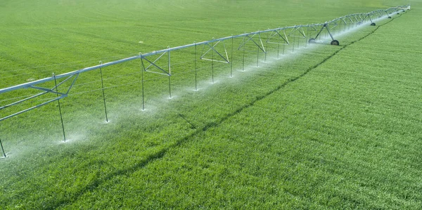 Watering the crops in the field — Stock Photo, Image