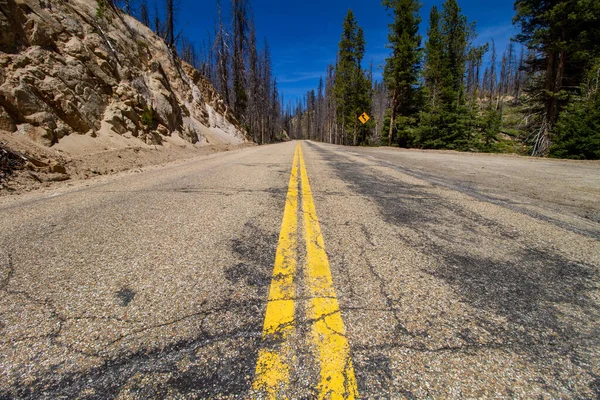 Estrada velha que conduz à floresta — Fotografia de Stock