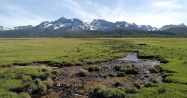Nehir, arka planda dağlar olan bir tarladan akıyor.