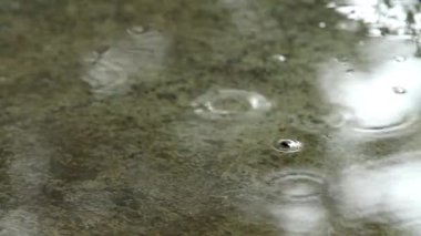 Yağmur sakince betonun üzerine düşüyor.