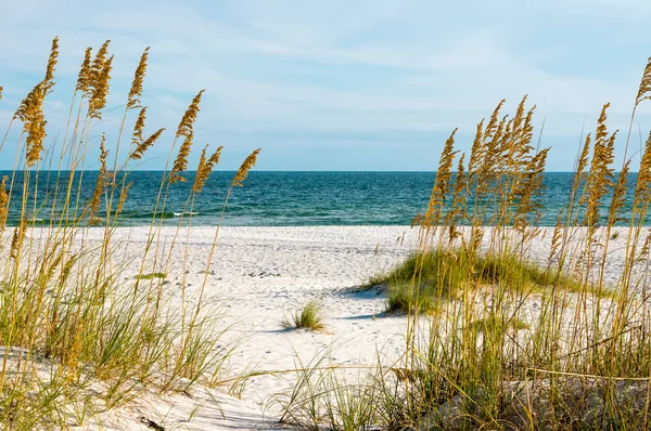 Gulf coast — Stockfoto