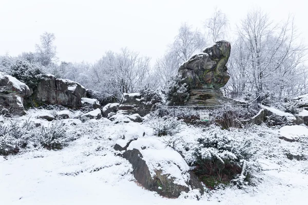 Crapaud Rocher dans la neige — Photo