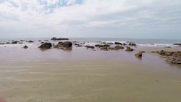 Arambol beach, Goa — Stockvideo