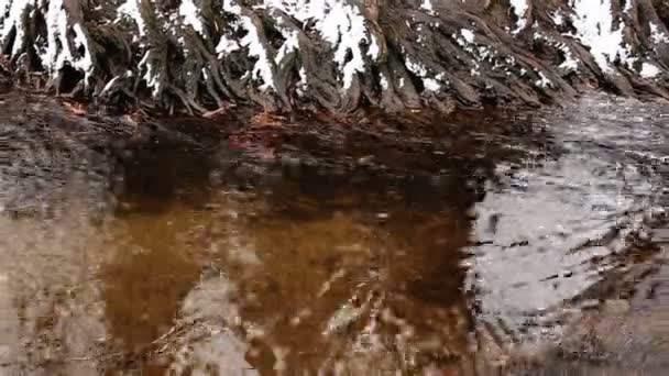 Río de invierno. Parque al aire libre — Vídeos de Stock