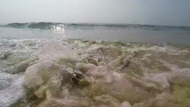 Plage d'Arambol, Goa 