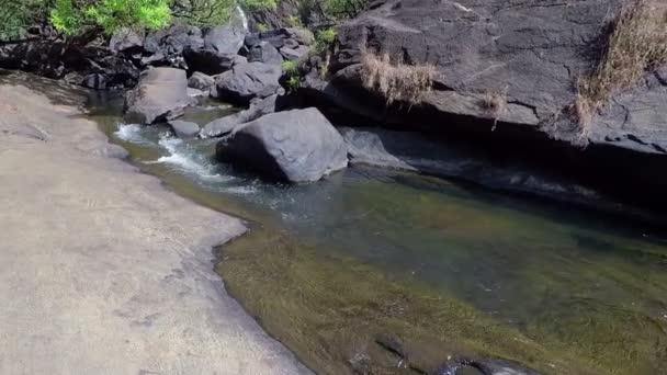 River. National Reserve Bhagwan Mahavir — Stock Video