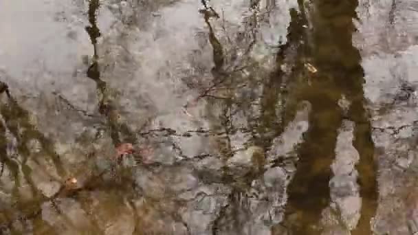 겨울 강입니다. 야외 공원 — 비디오