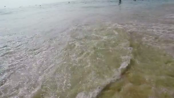 Arambol beach, Goa — Stok video