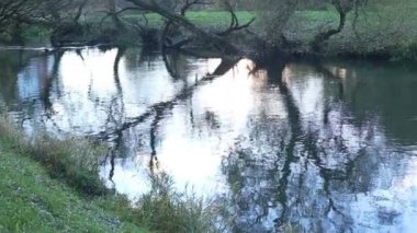 Küçük nehir. Kamera hareketi