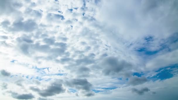 Taymlaps overdag hemel met pluizige wolken — Stockvideo