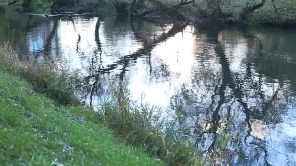 Petite rivière. Mouvement de caméra 