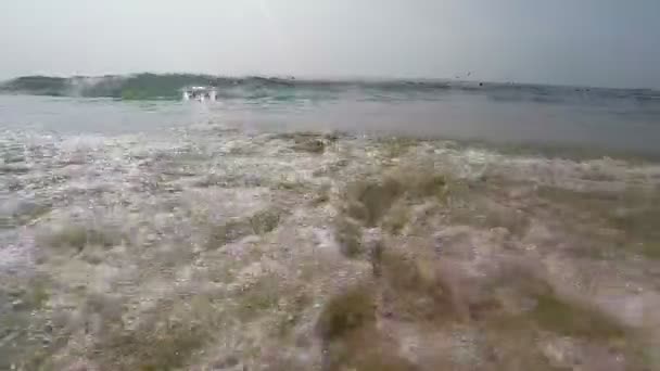 Plage d'Arambol, Goa 