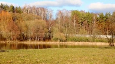 Buz ve diğer tarafta sonbahar ağaçları ile kaplı Nehri