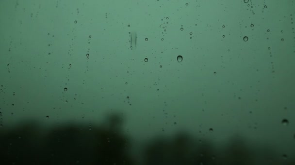 Lluvia gotas primer plano en la ventana . — Vídeo de stock