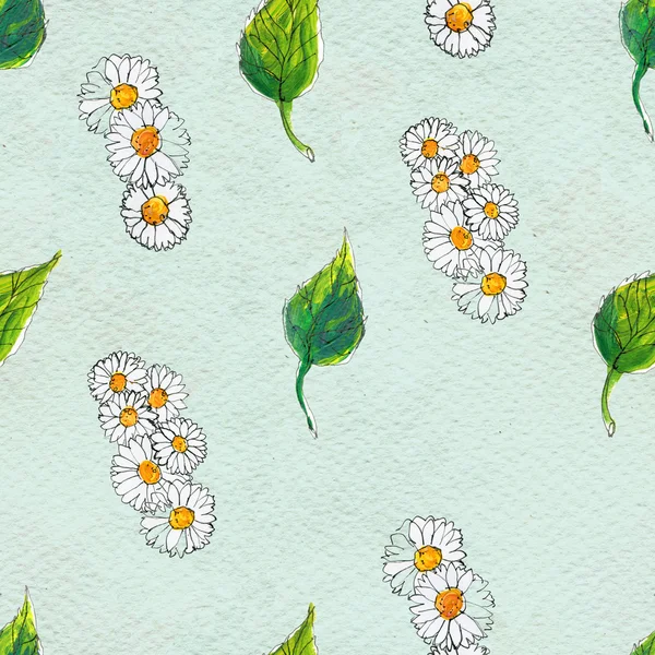 Seamless floral pattern with daisy flowers — Stock Photo, Image